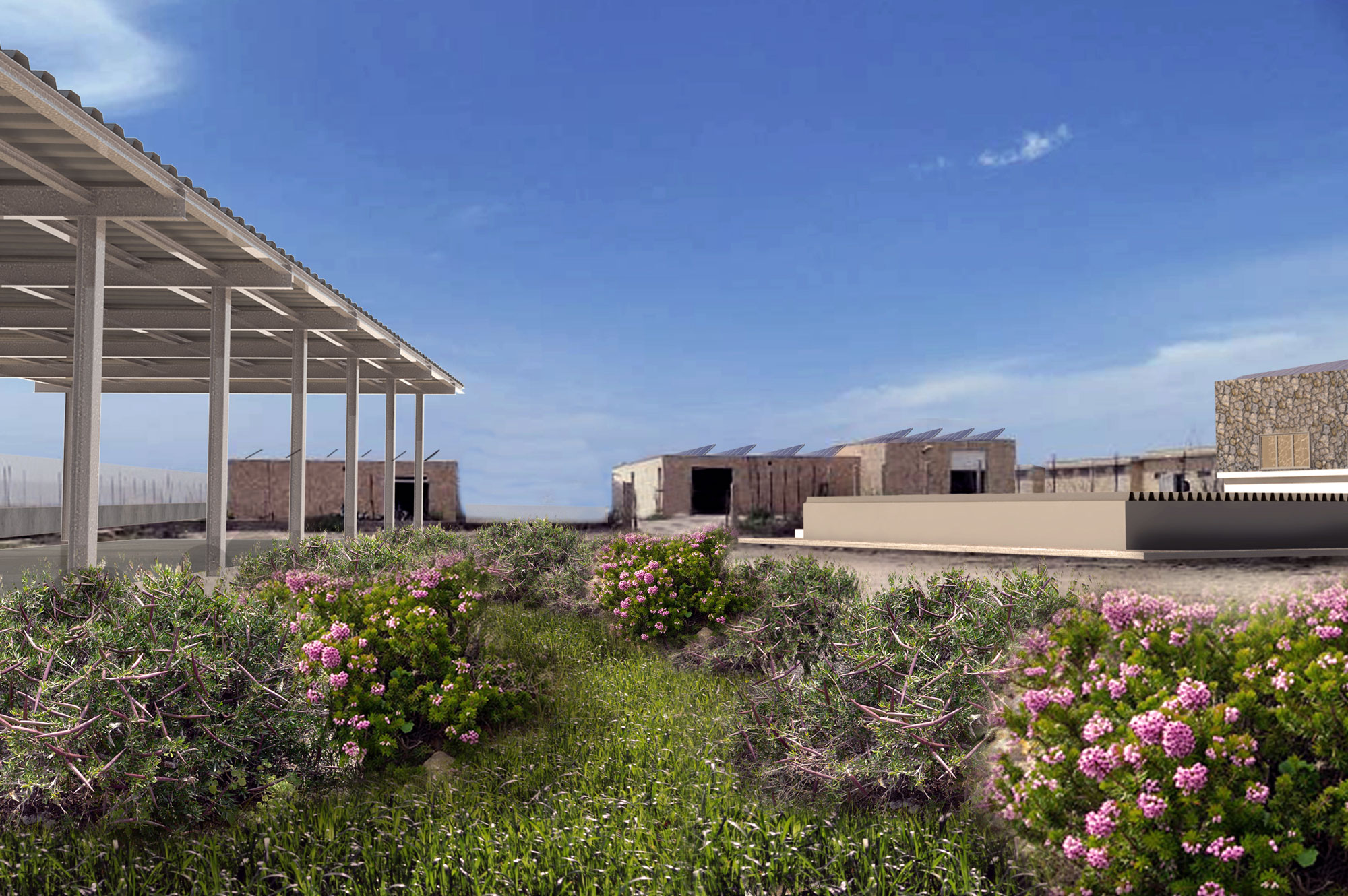 Purifier of Lampedusa