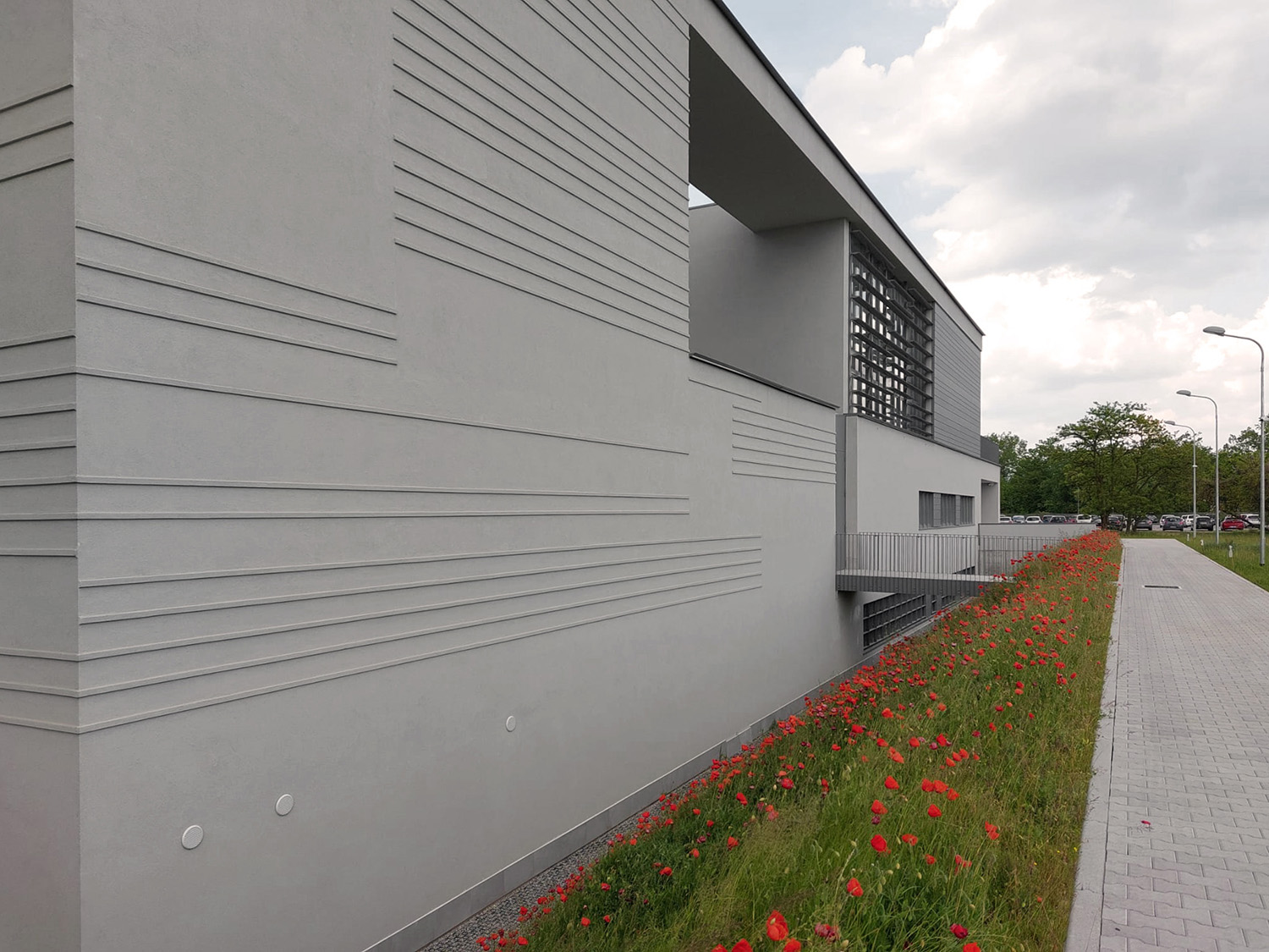 The new library for the University Campus Polo dei Rizzi