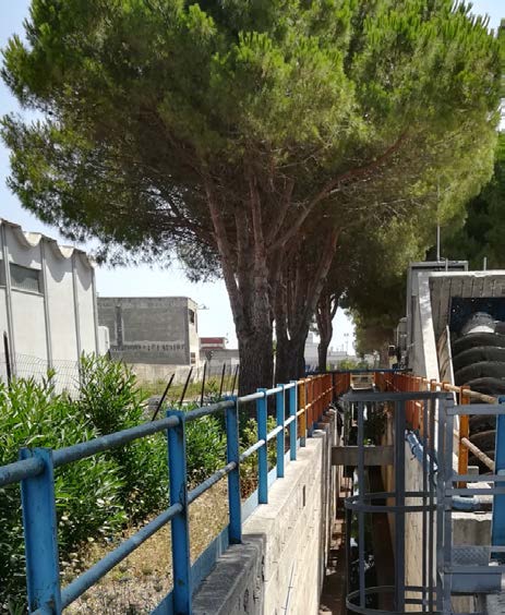 Enhancing Sustainability: Upgrades at Brindisi – Fiume Grande WWTP