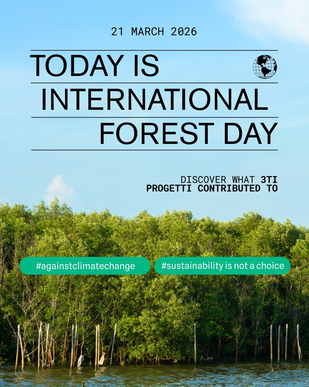 International Forest Day